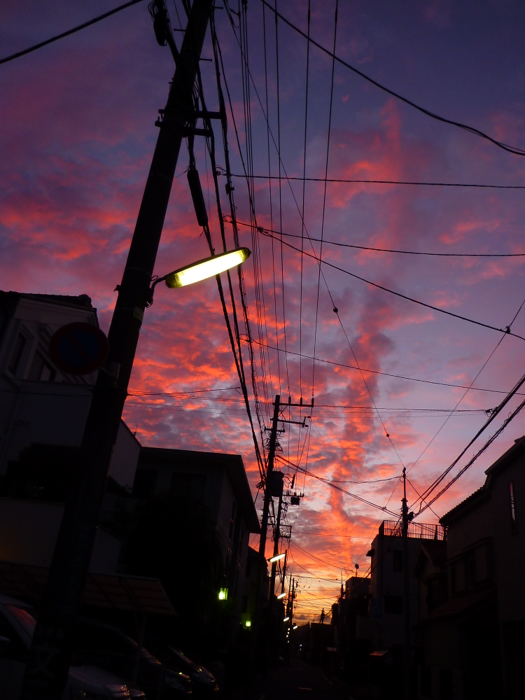 No.25540-1 地震雲