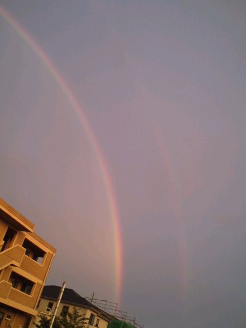 No.25554-1 地震雲