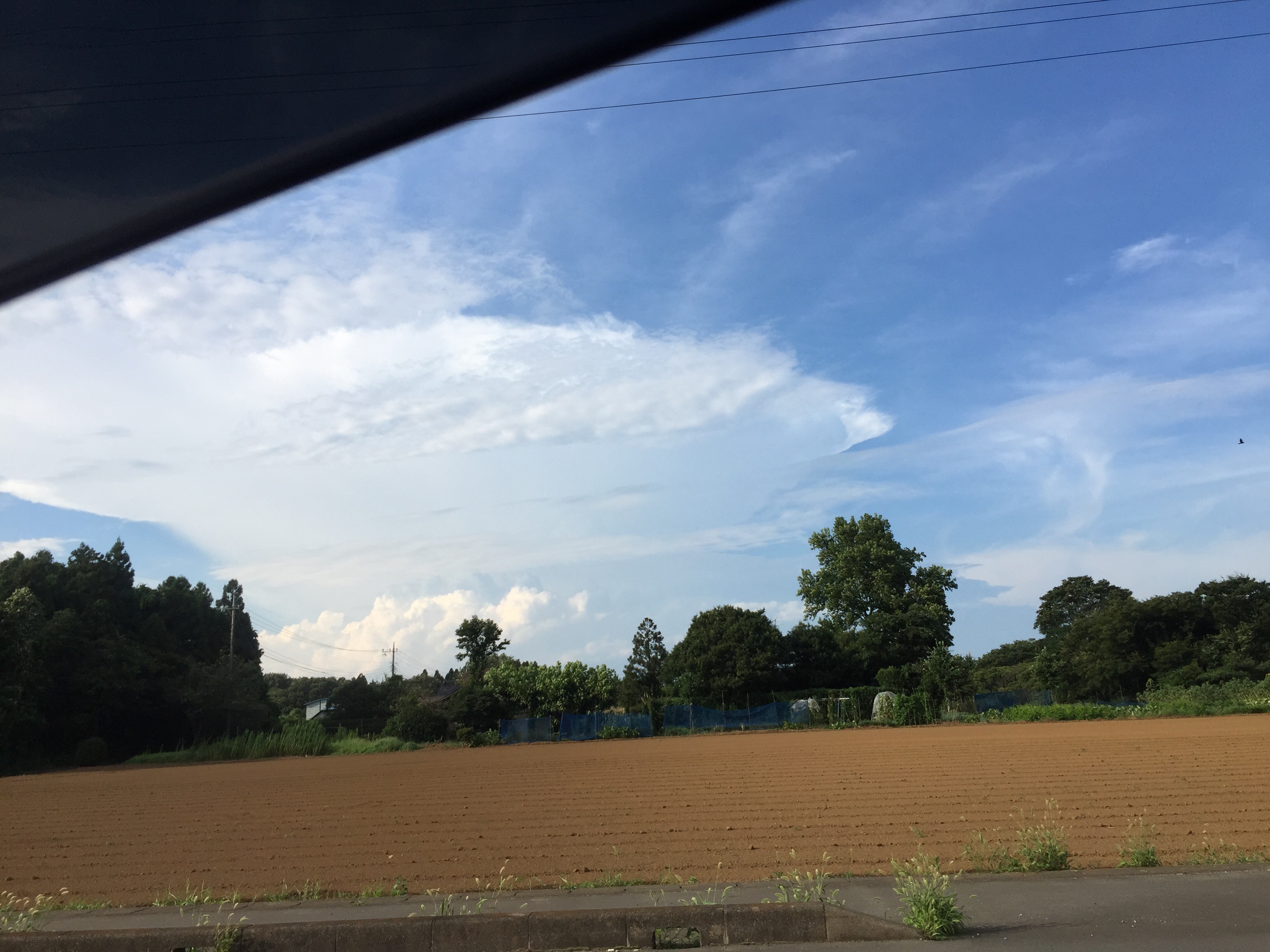 No.25648-1 地震雲