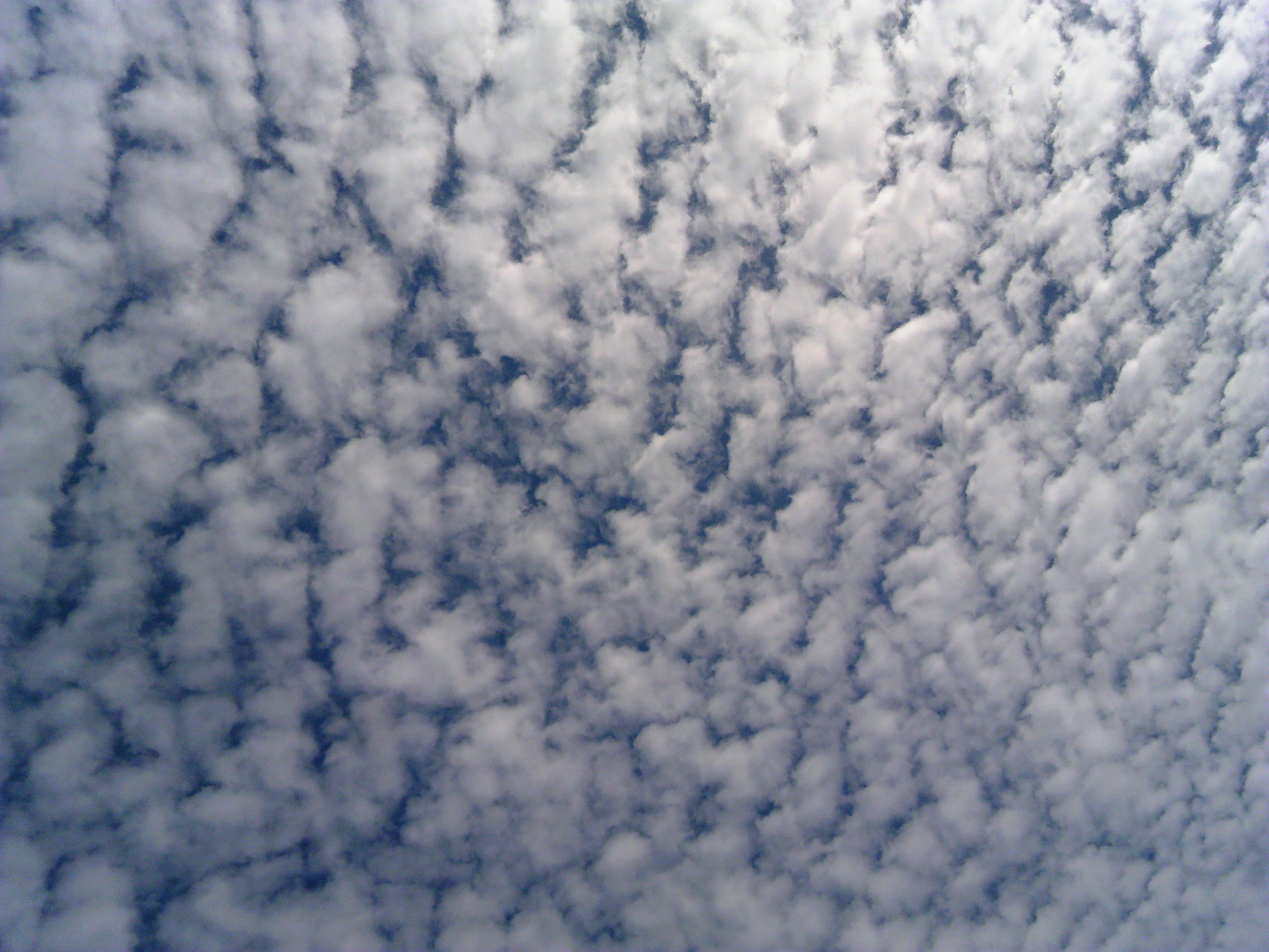 No.25837-1 地震雲