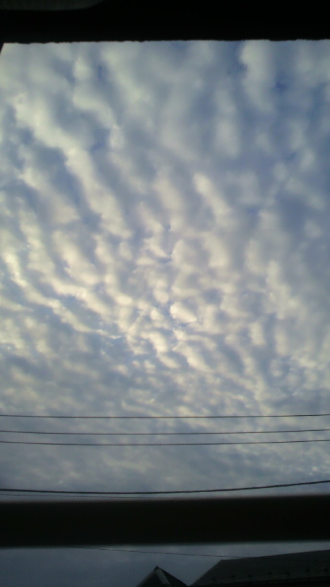 No.25849-1 地震雲