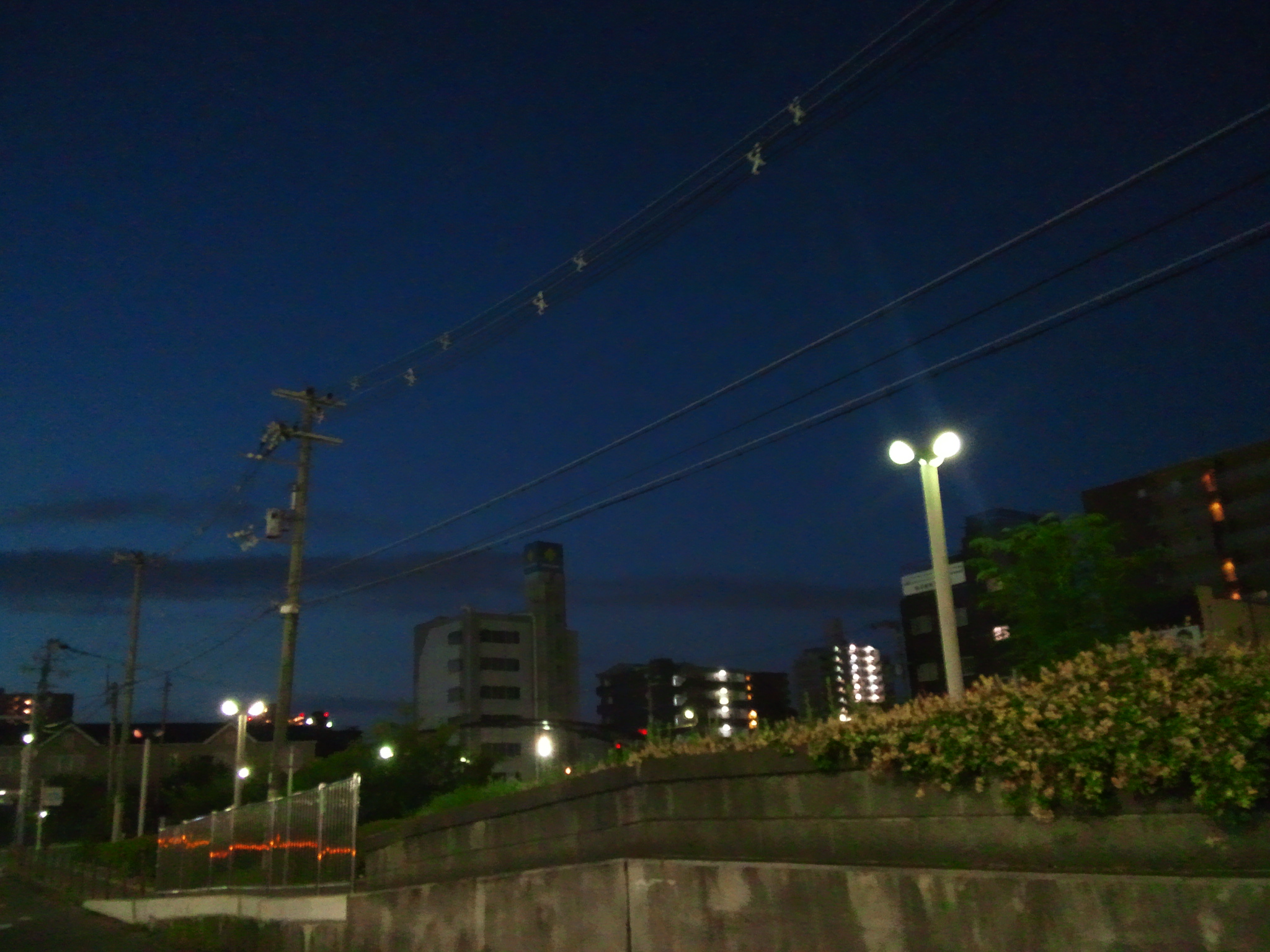 No.25978-1 地震雲