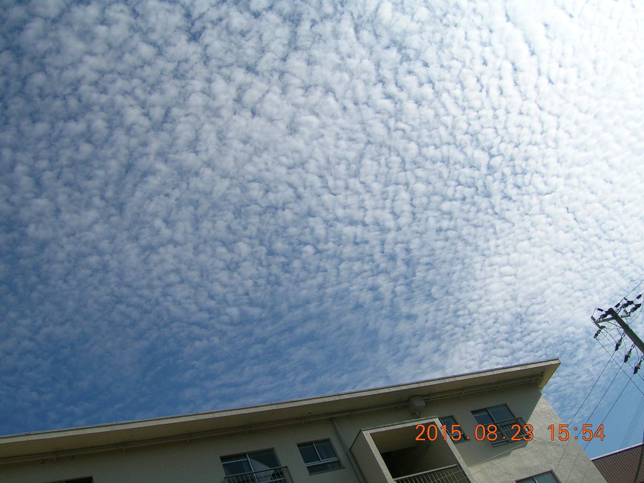 No.25981-1 地震雲