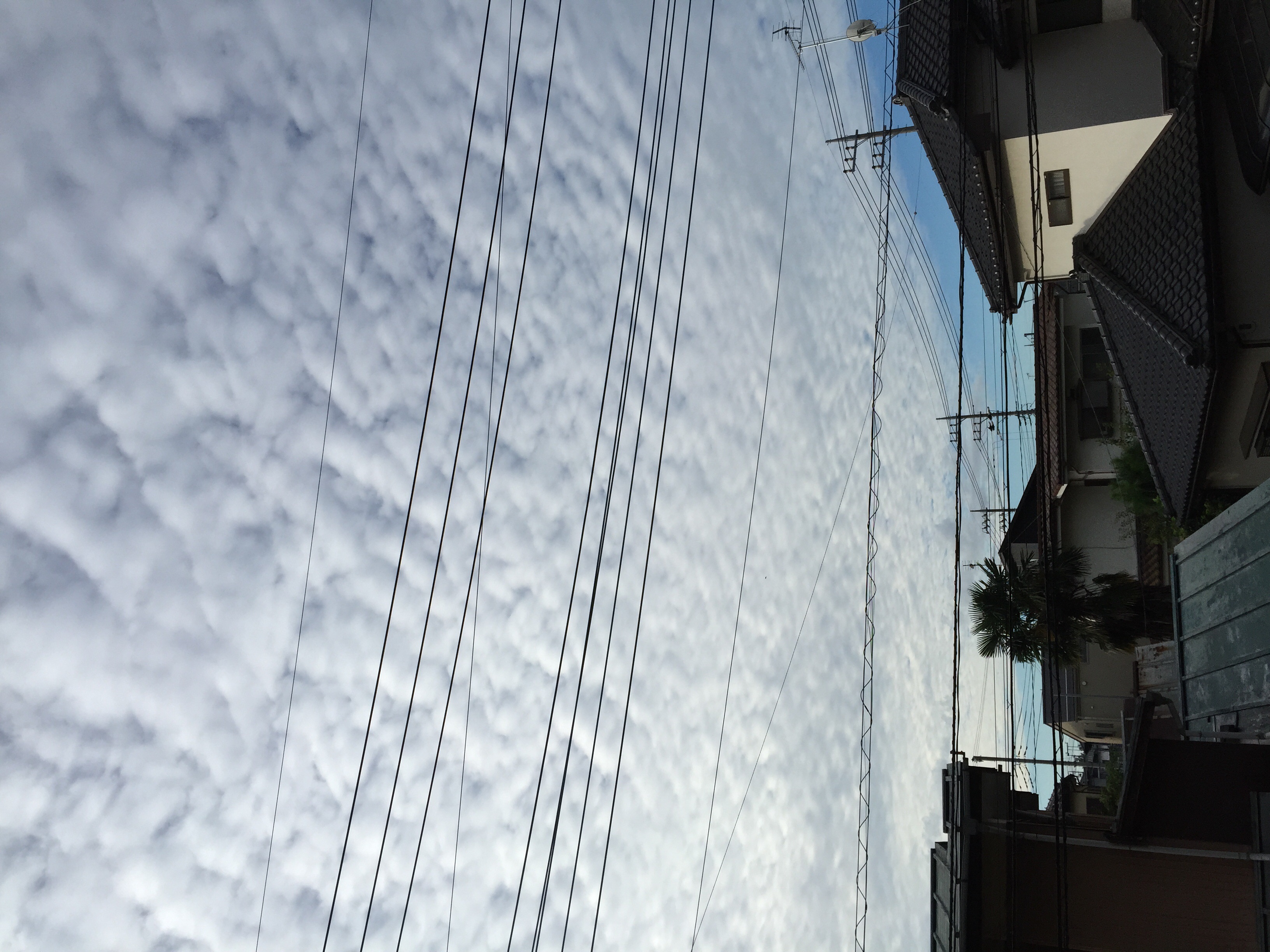 No.26115-1 地震雲