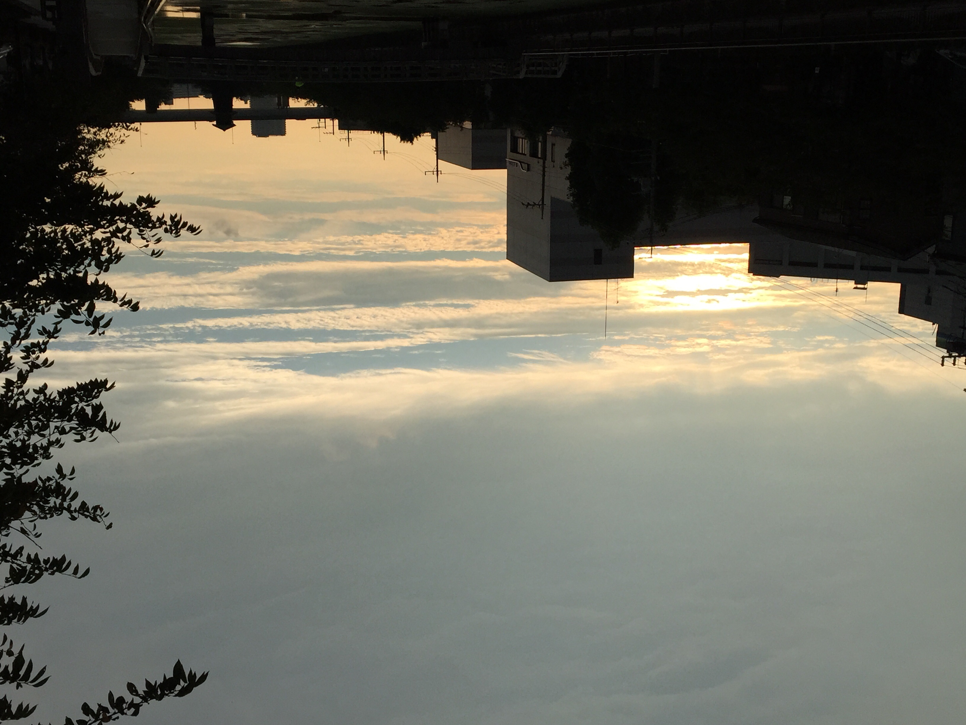 No.26208-1 地震雲