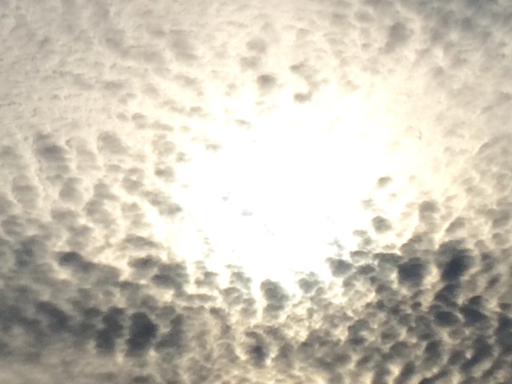 No.26272-1 地震雲