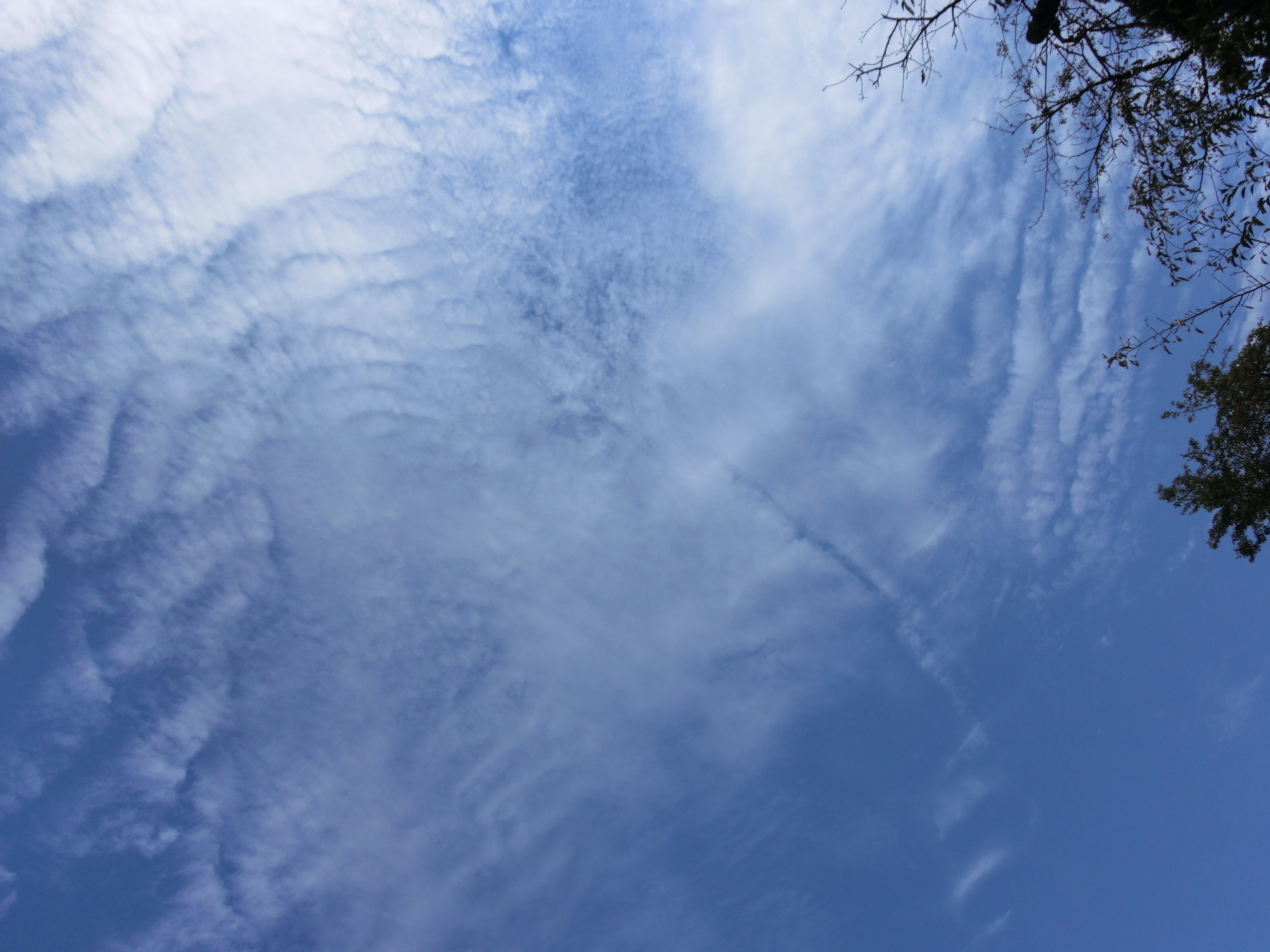 No.26491-1 地震雲