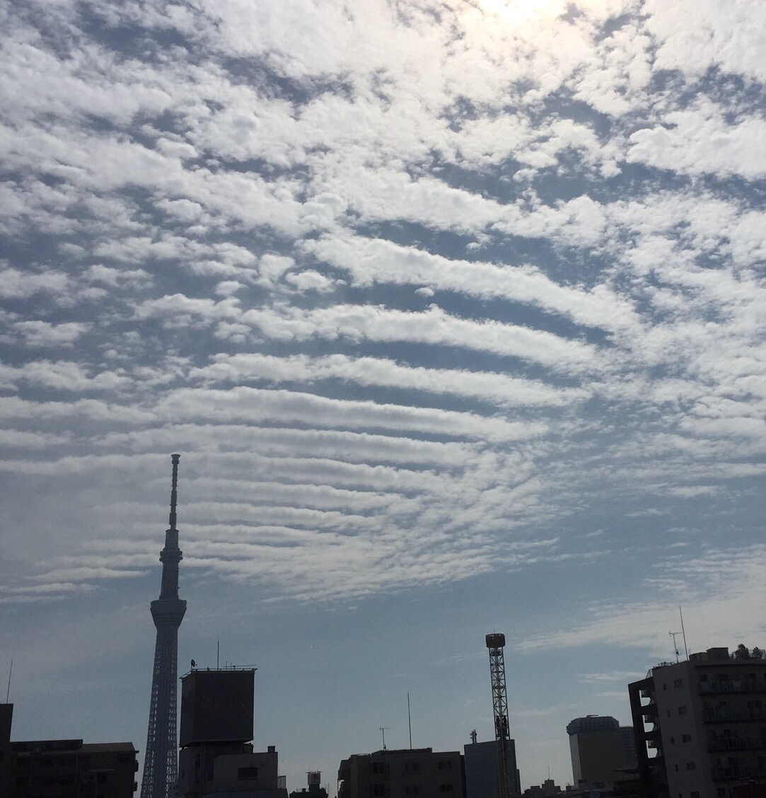 No.26535-1 地震雲