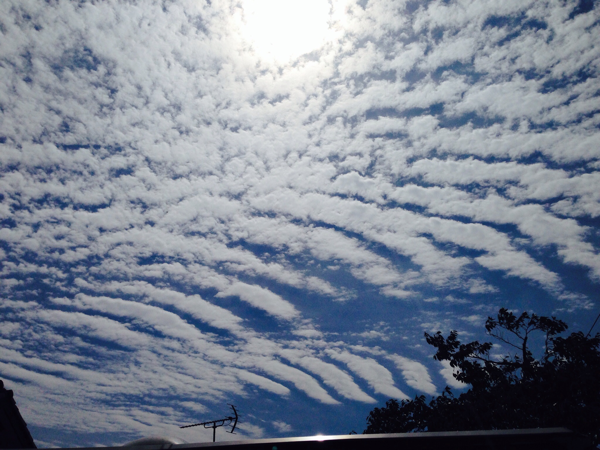 No.26564-1 地震雲