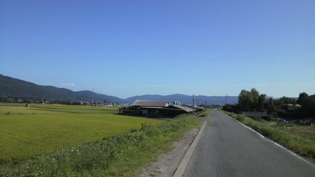 No.26626-1 地震雲