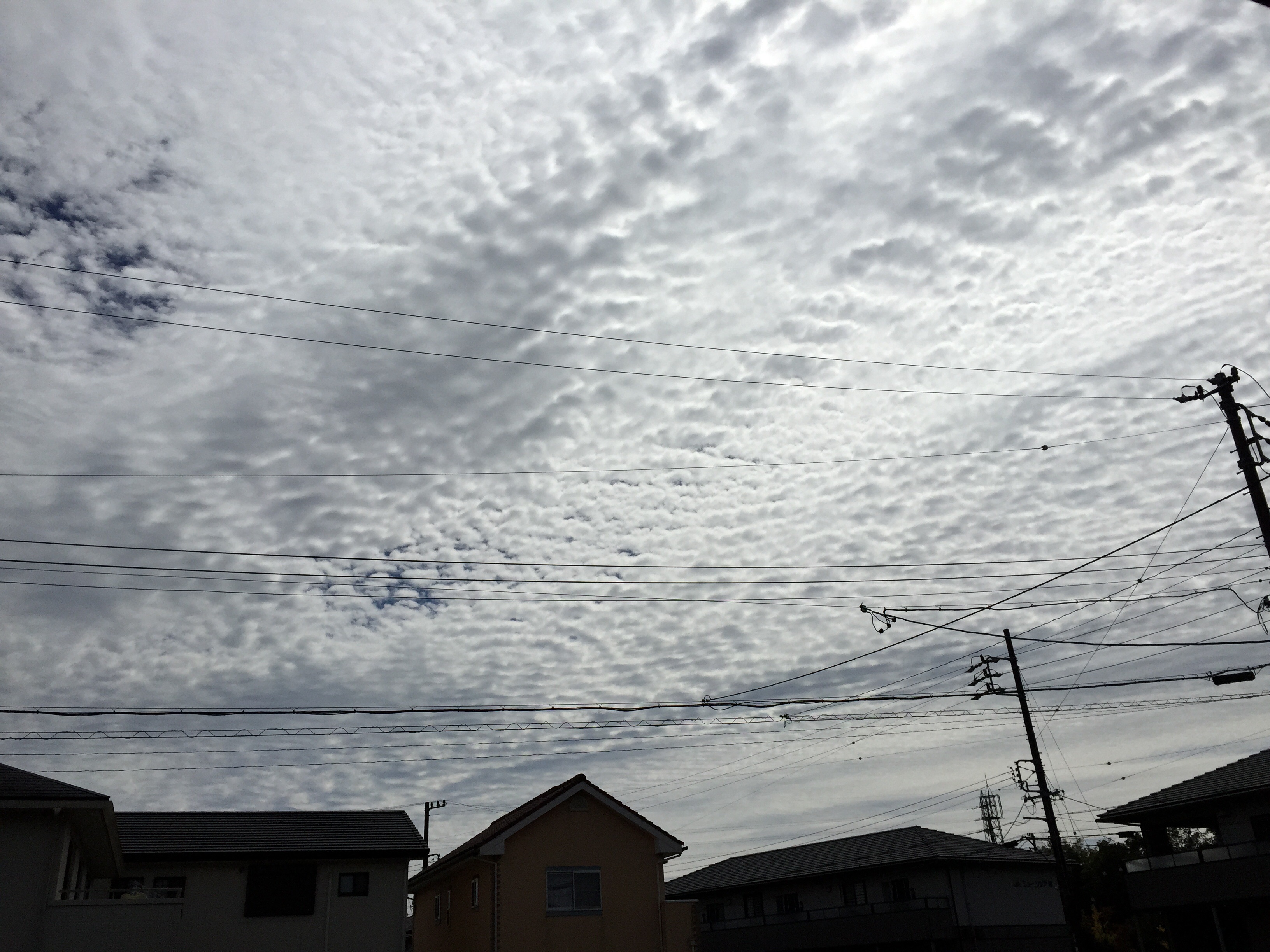 No.26679-1 地震雲