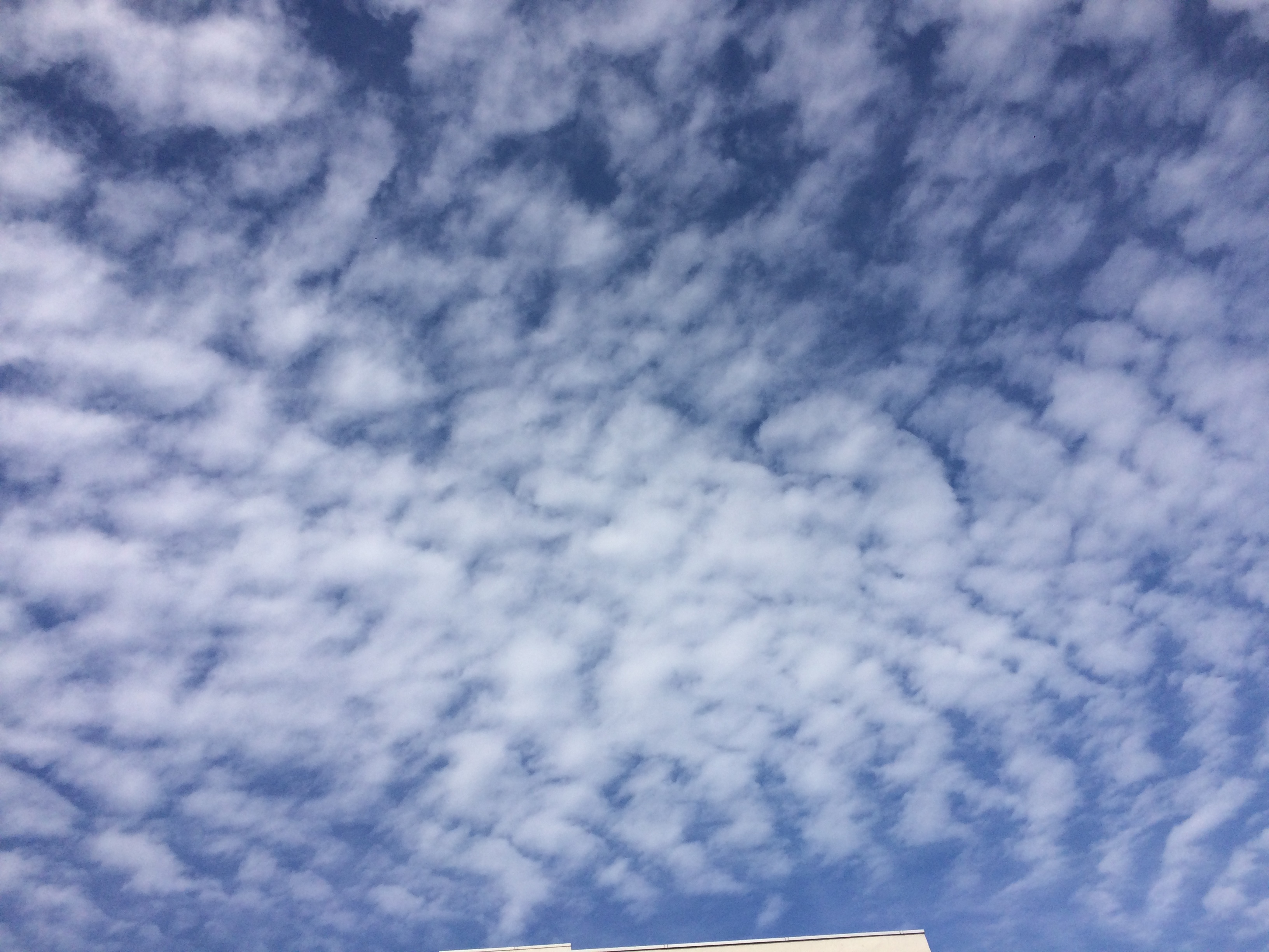 No.26684-1 地震雲