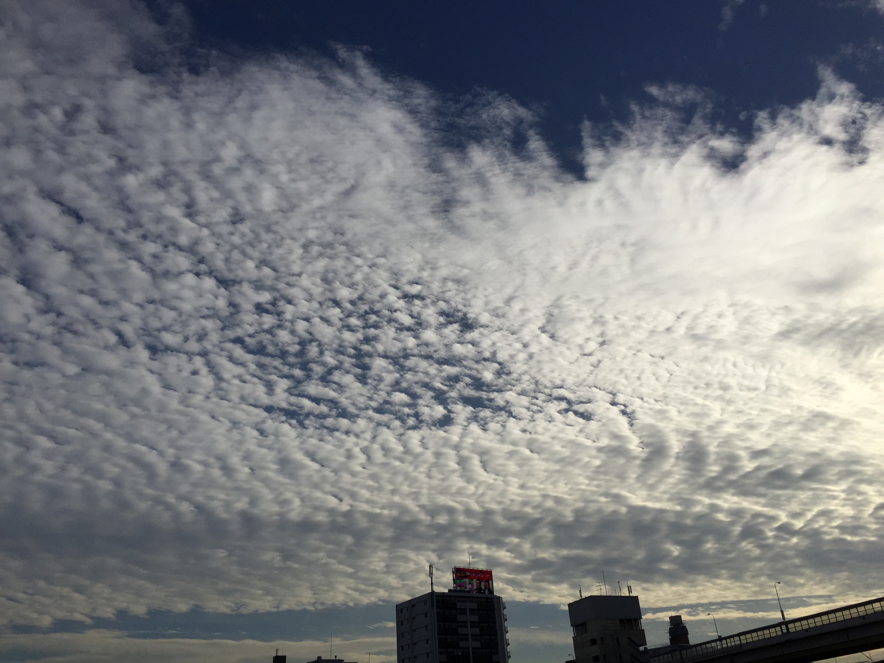 No.26692-1 地震雲