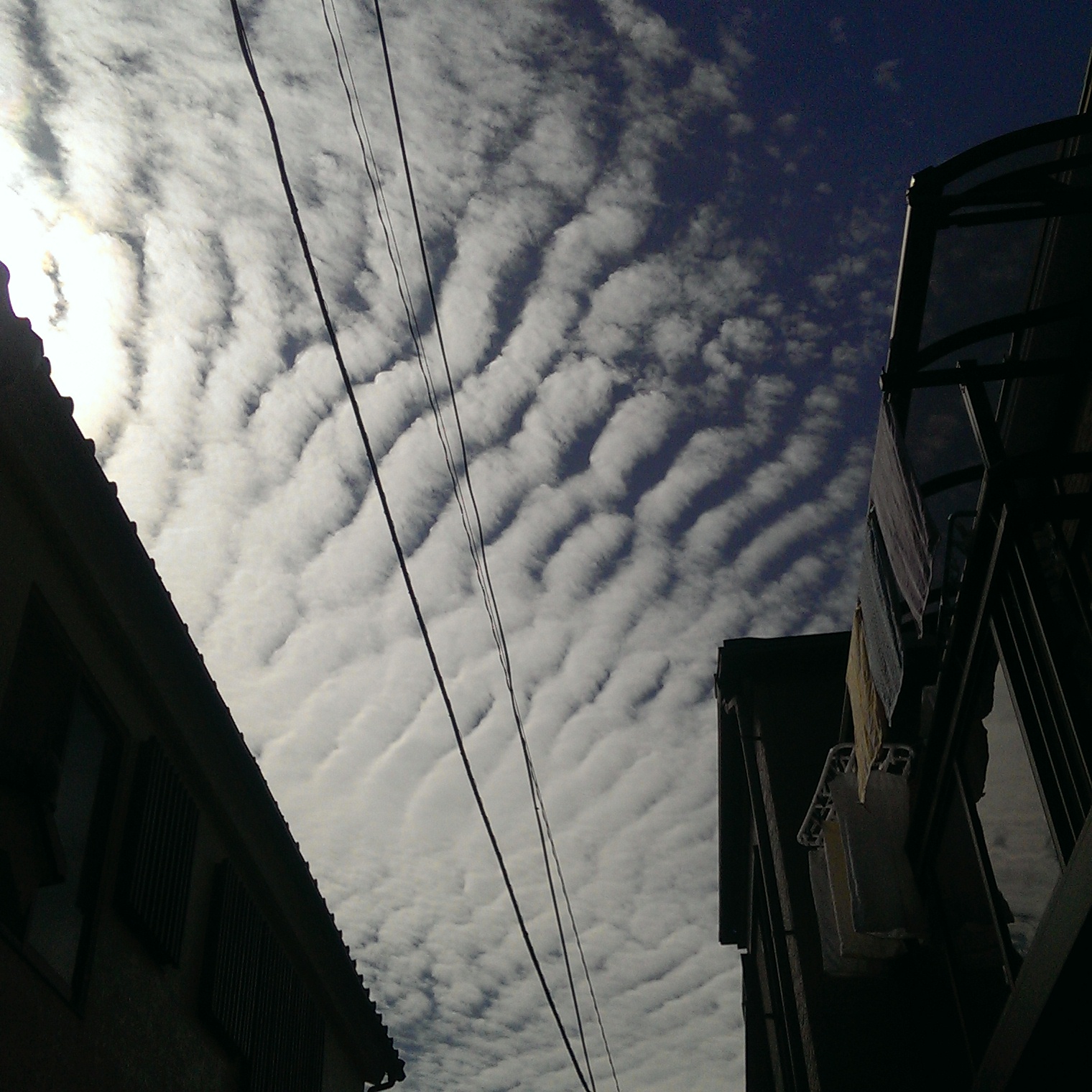 No.26709-1 地震雲