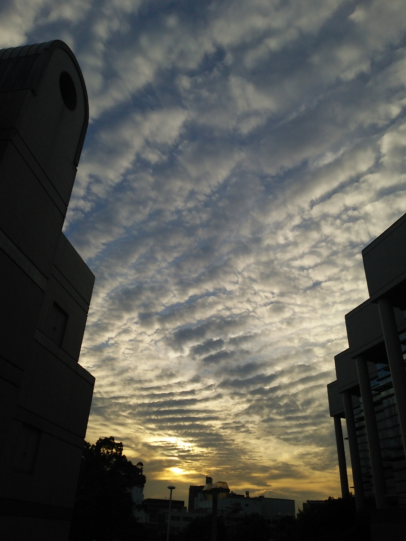 No.26711-1 地震雲