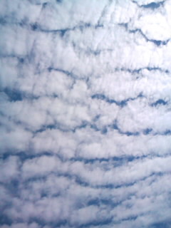 No.26716-1 地震雲