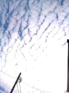 No.26718-1 地震雲