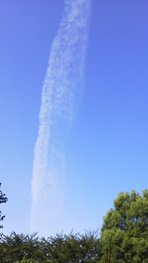 No.26729-1 地震雲