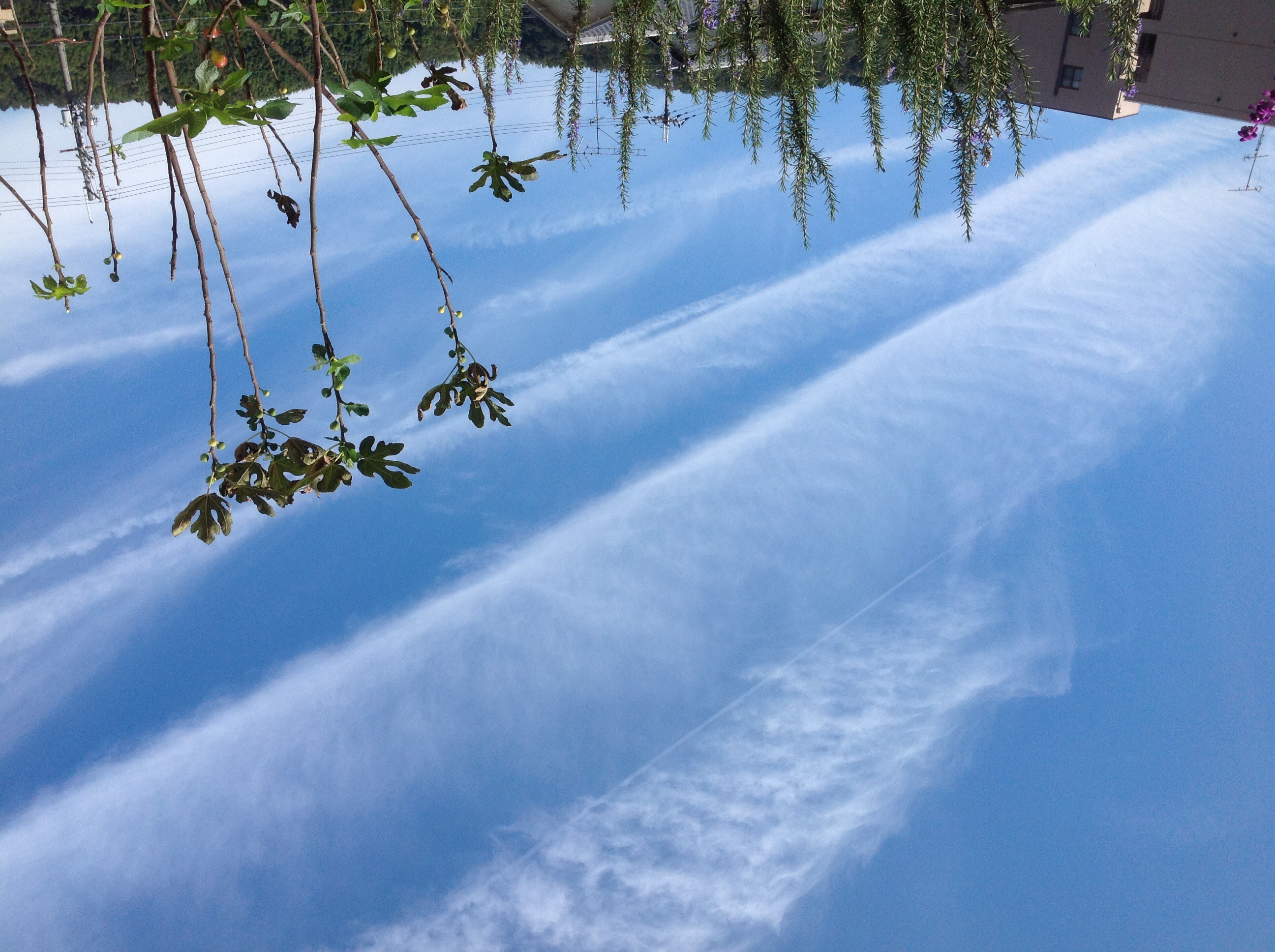 No.27103-1 地震雲