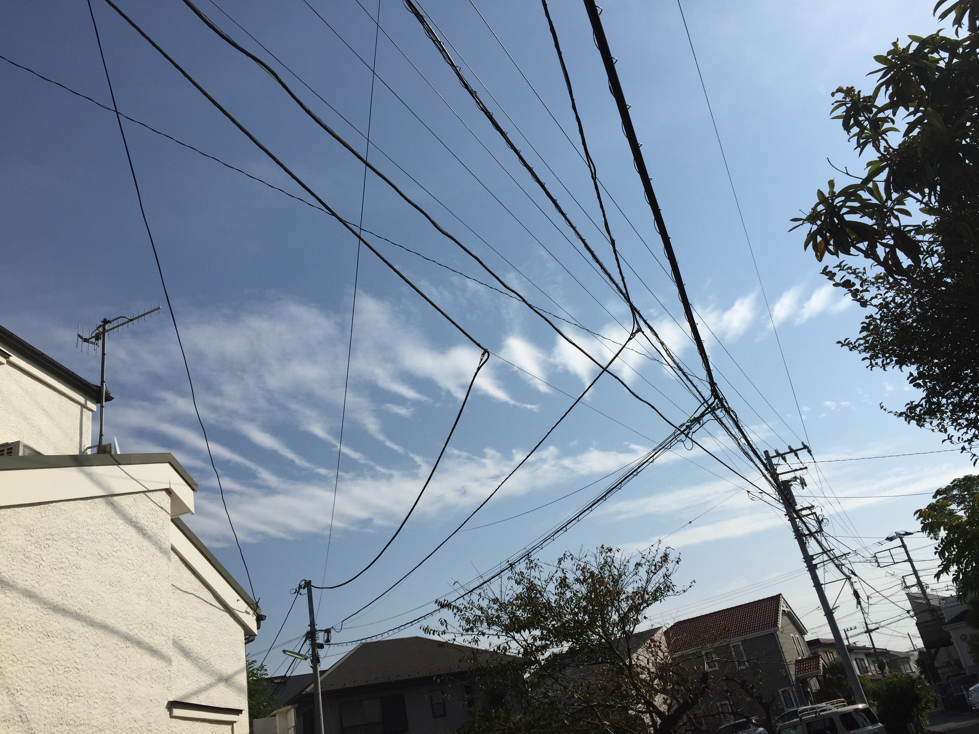 No.27251-1 地震雲