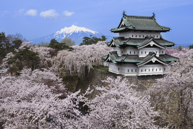 No.27383-1 地震雲