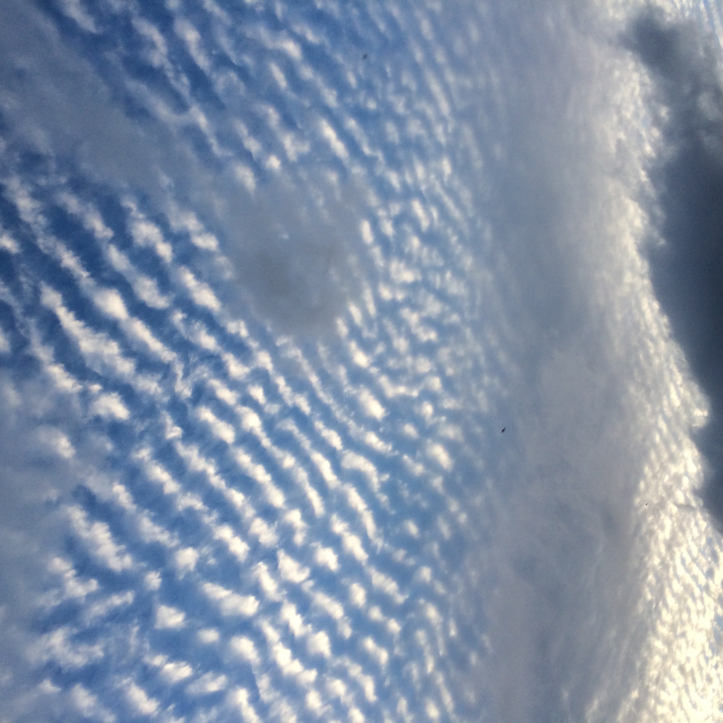 No.27410-1 地震雲