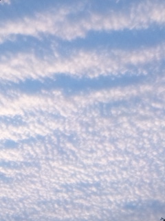 No.27411-1 地震雲