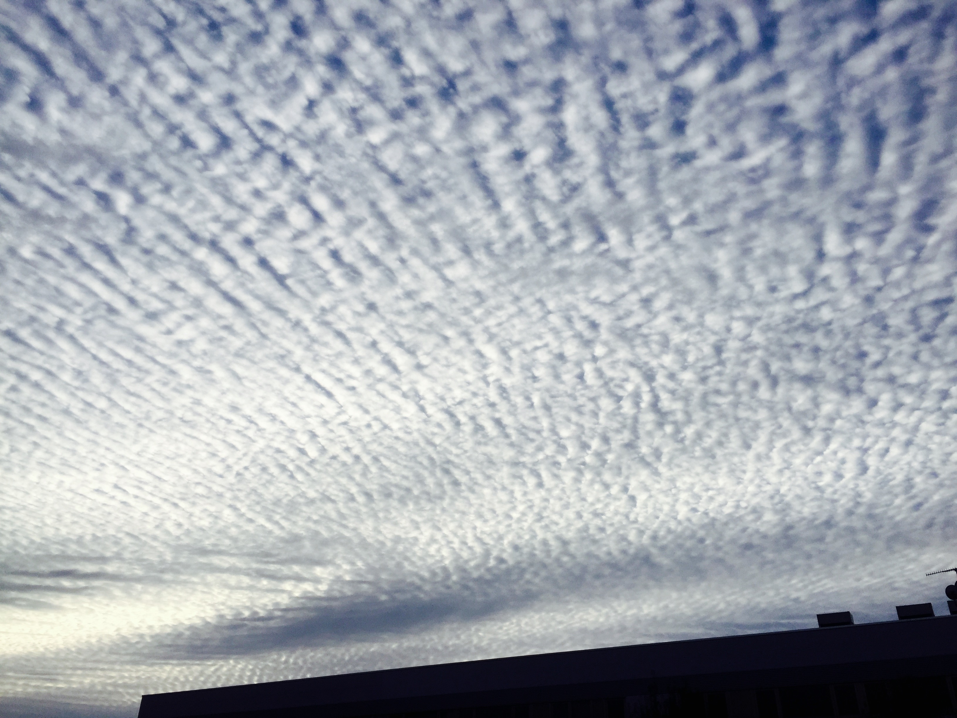 No.27414-1 地震雲