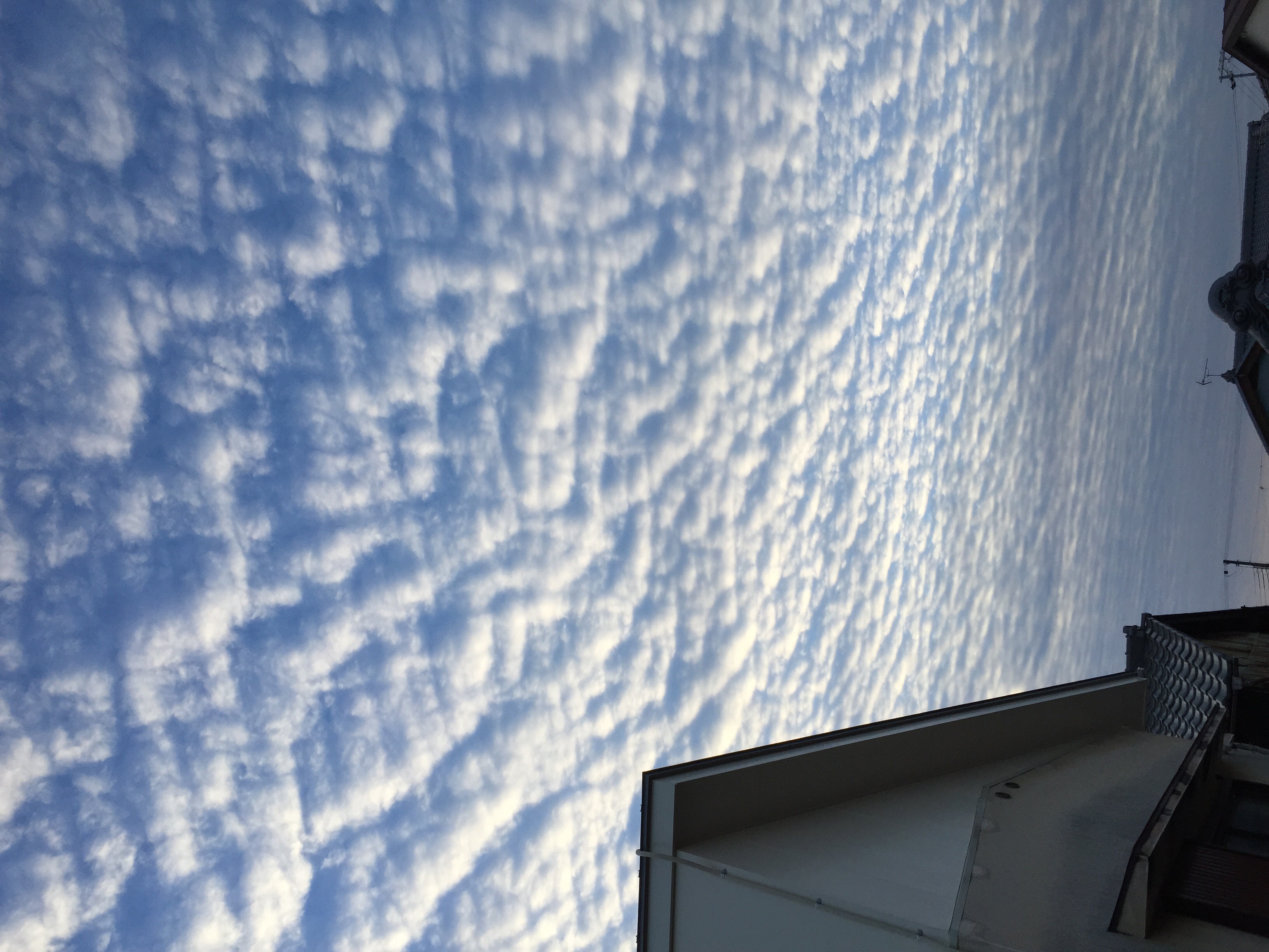 No.27416-1 地震雲