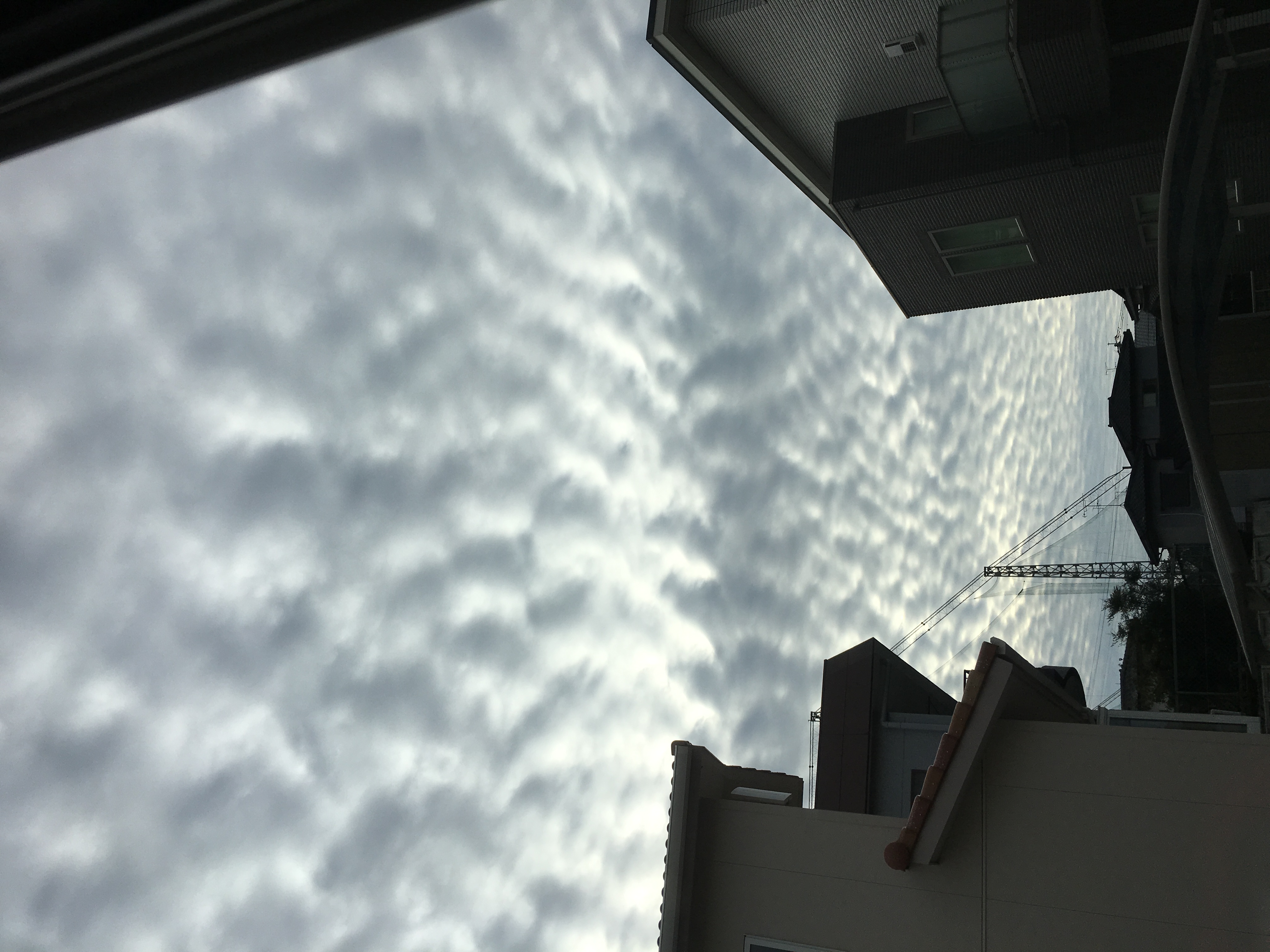 No.27422-1 地震雲