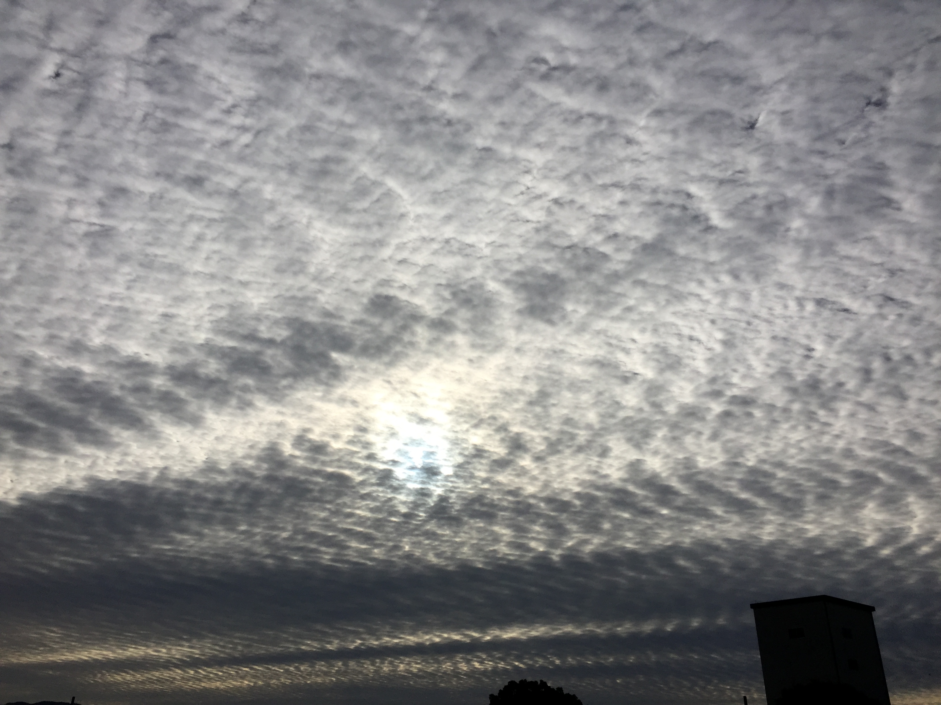 No.27424-1 地震雲