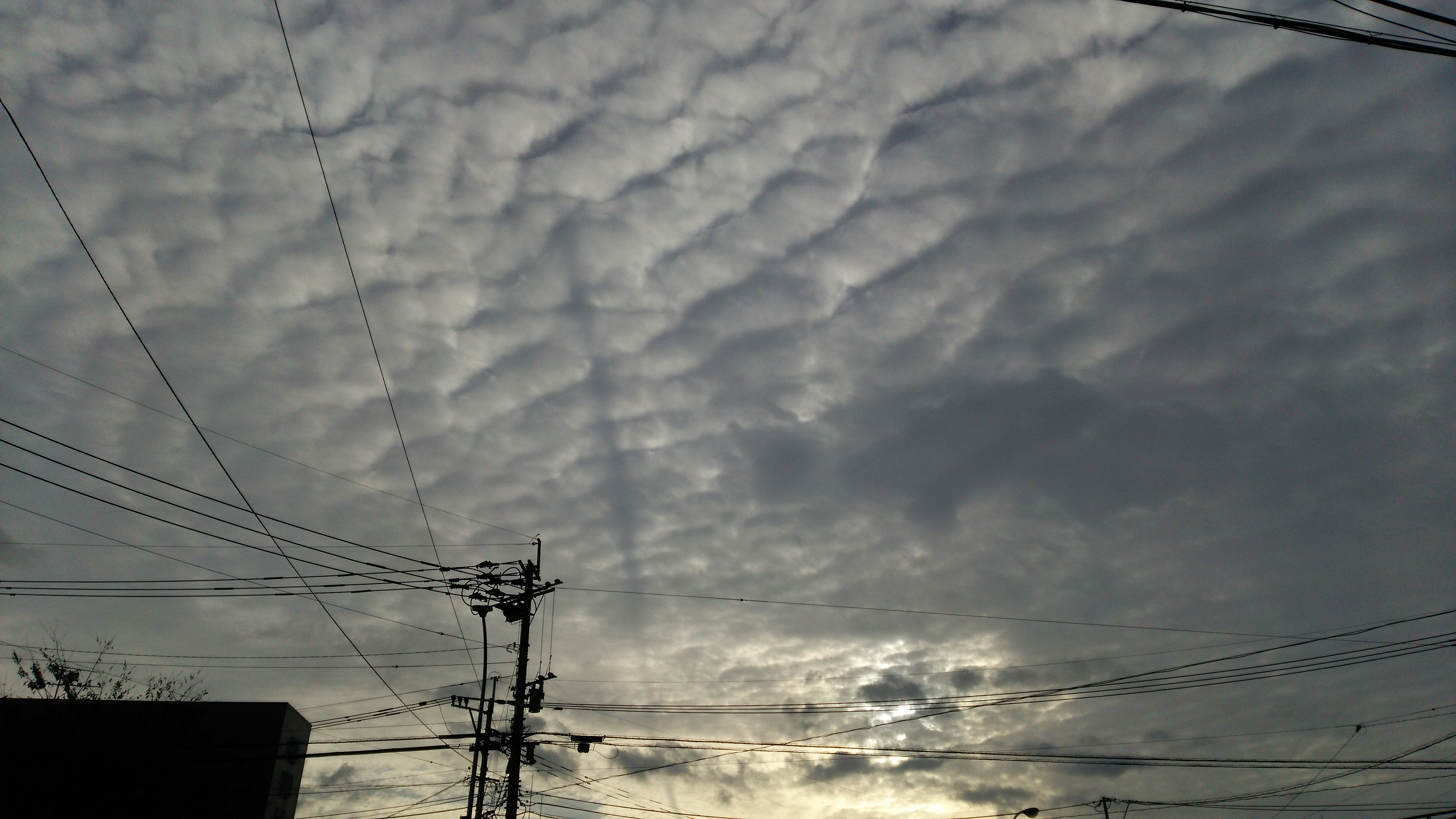 No.27439-1 地震雲