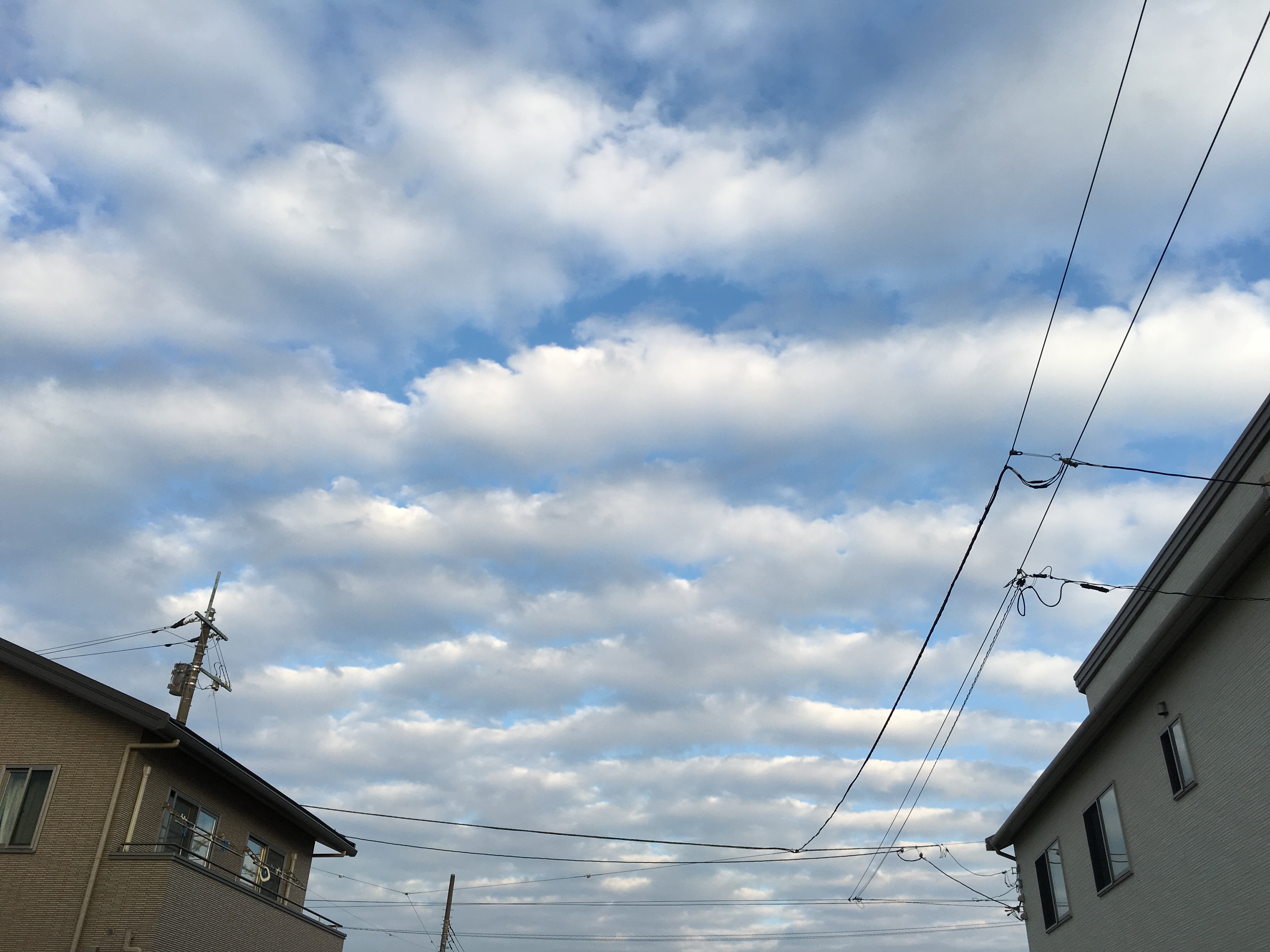 No.27495-1 地震雲