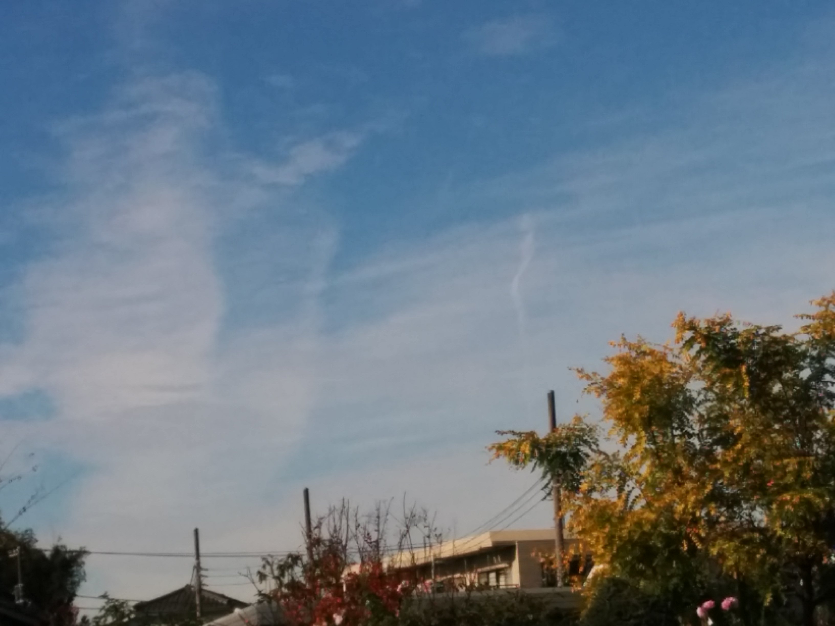 No.27524-1 地震雲