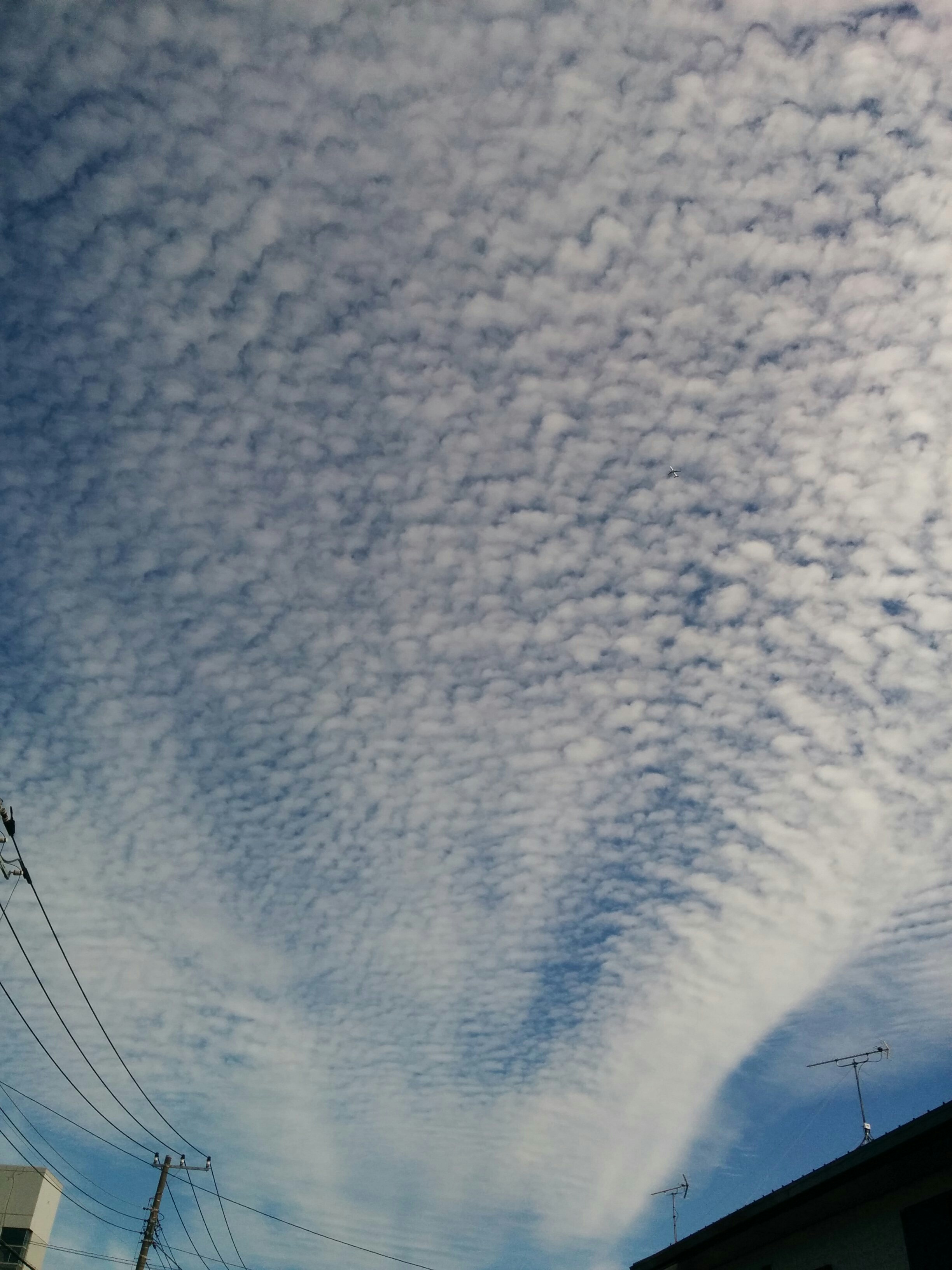 No.27555-1 地震雲