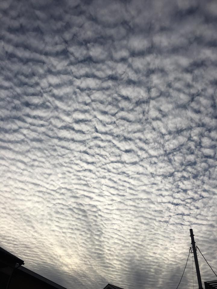 No.27578-1 地震雲