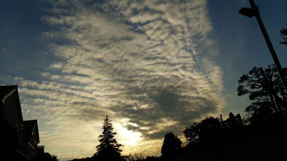 No.27882-1 地震雲