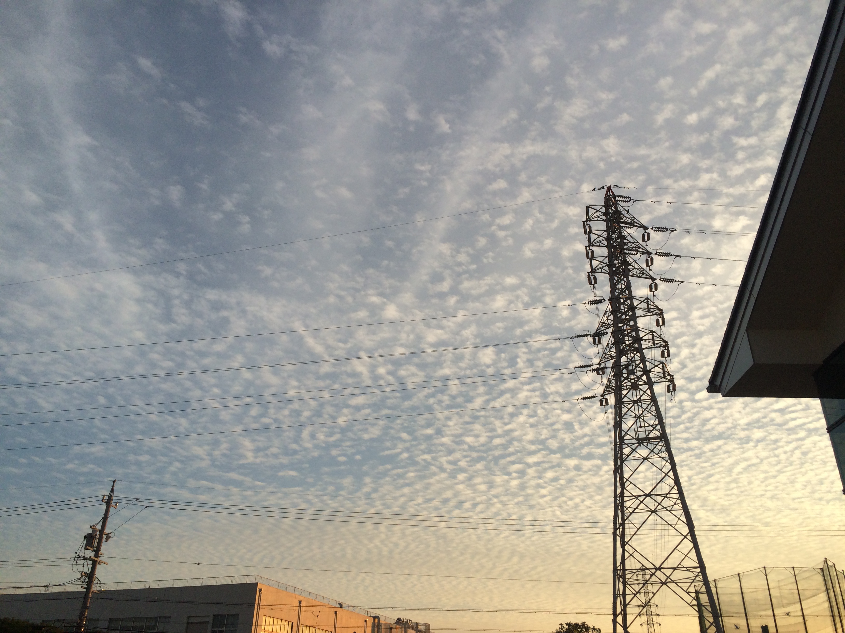 No.27913-1 地震雲