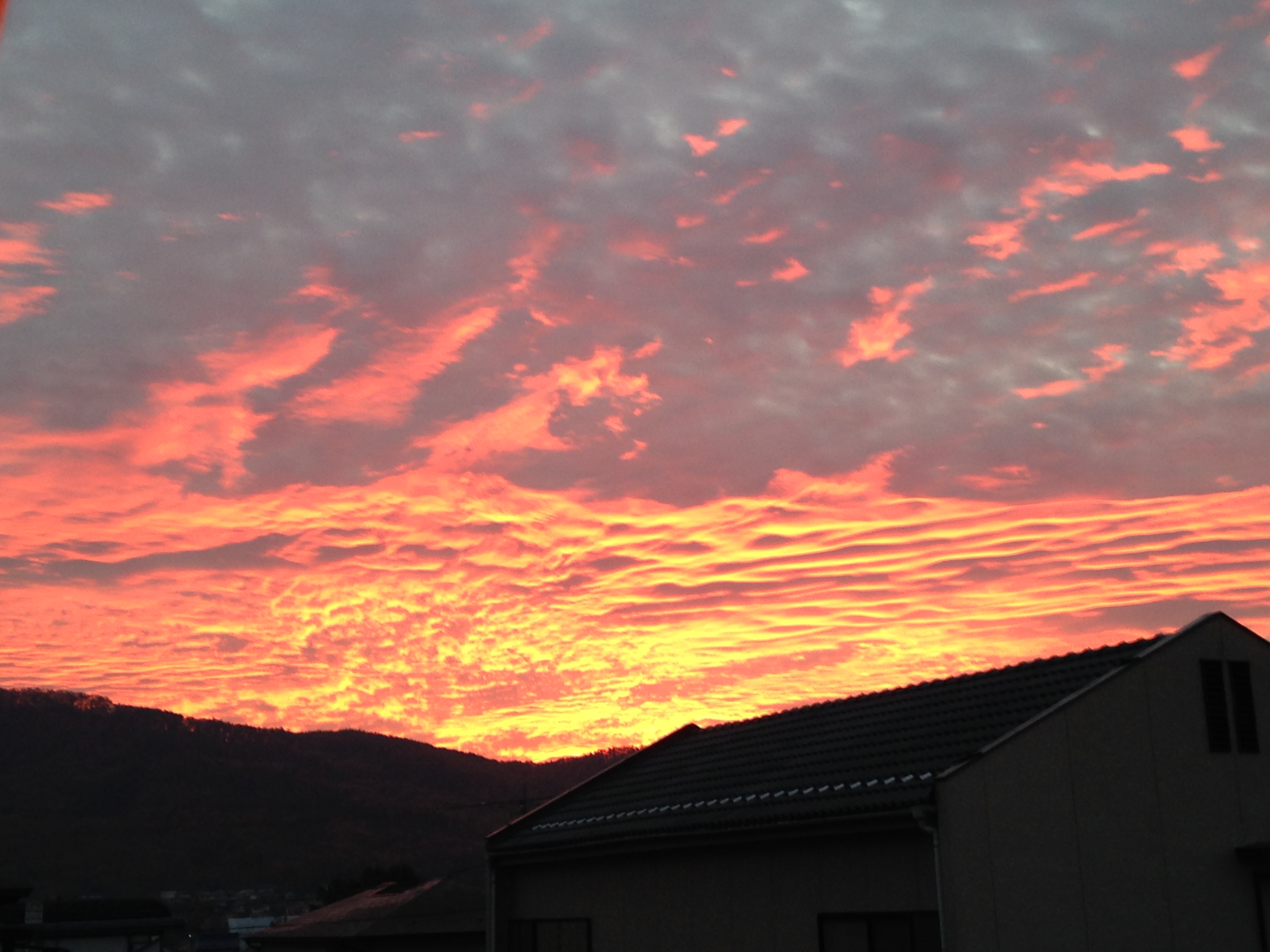 No.27931-1 地震雲