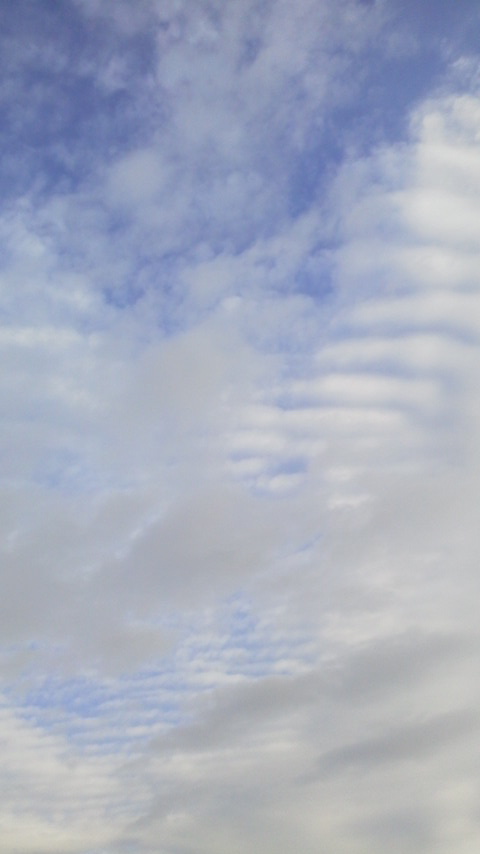 No.28004-1 地震雲