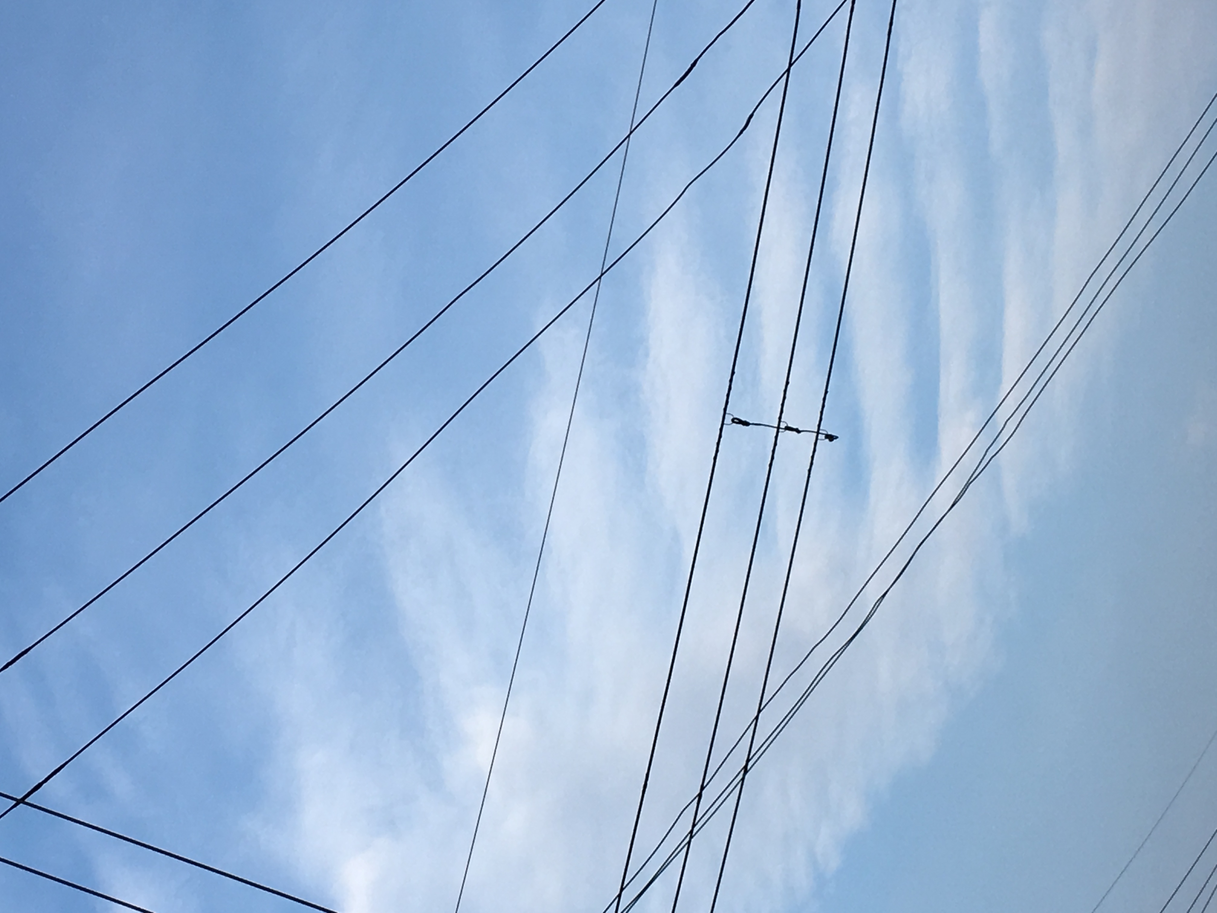 No.28073-1 地震雲