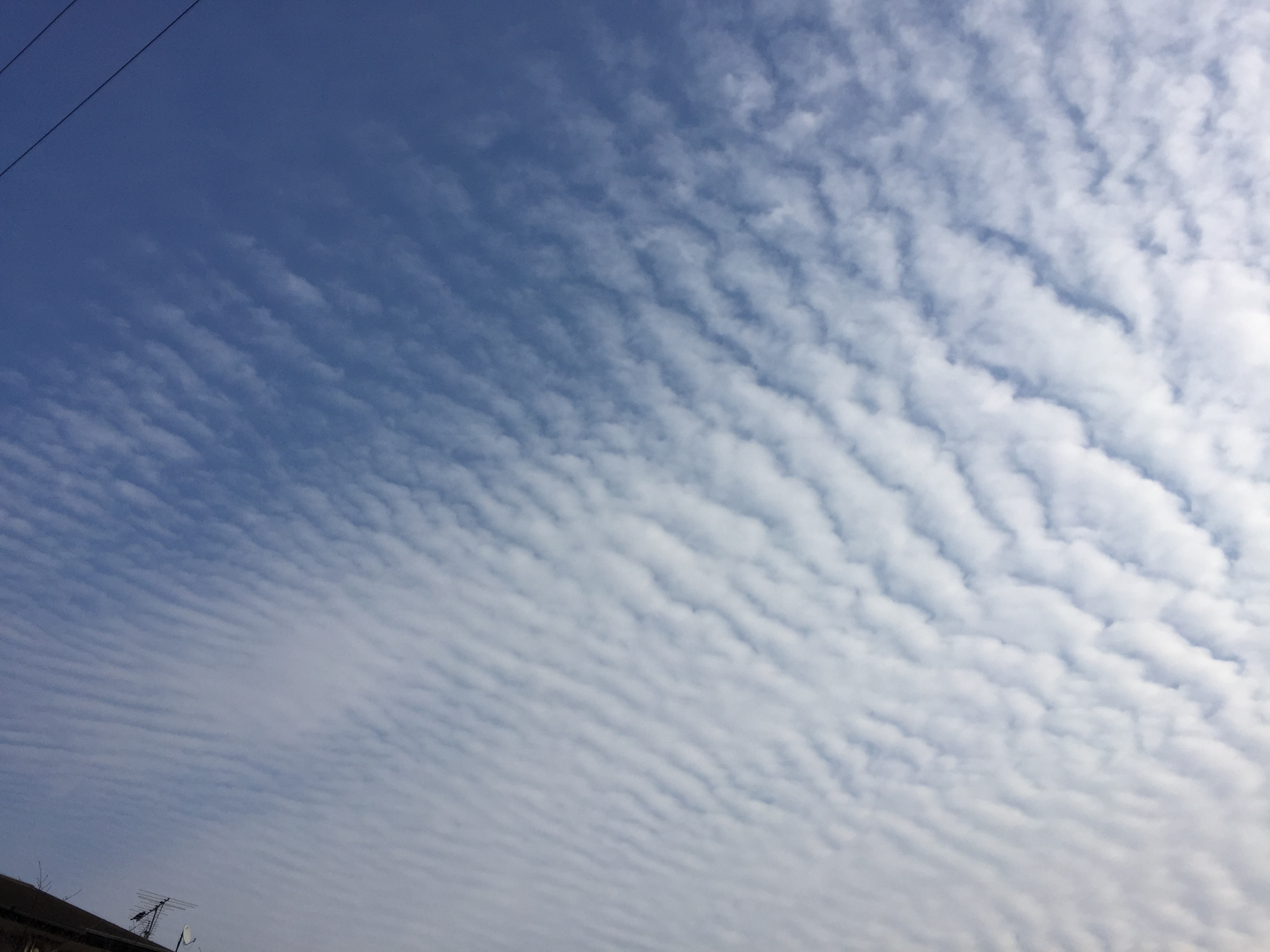 No.28204-1 地震雲