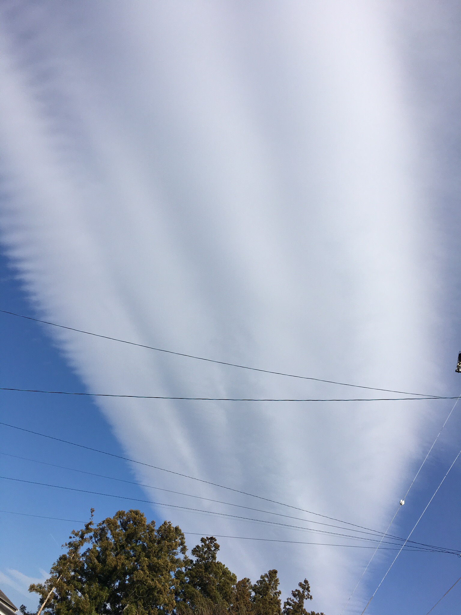 No.28205-1 地震雲