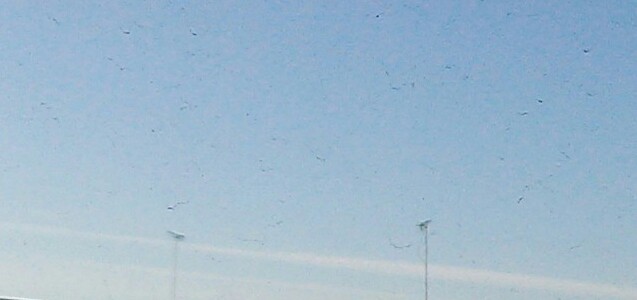 No.28214-1 地震雲