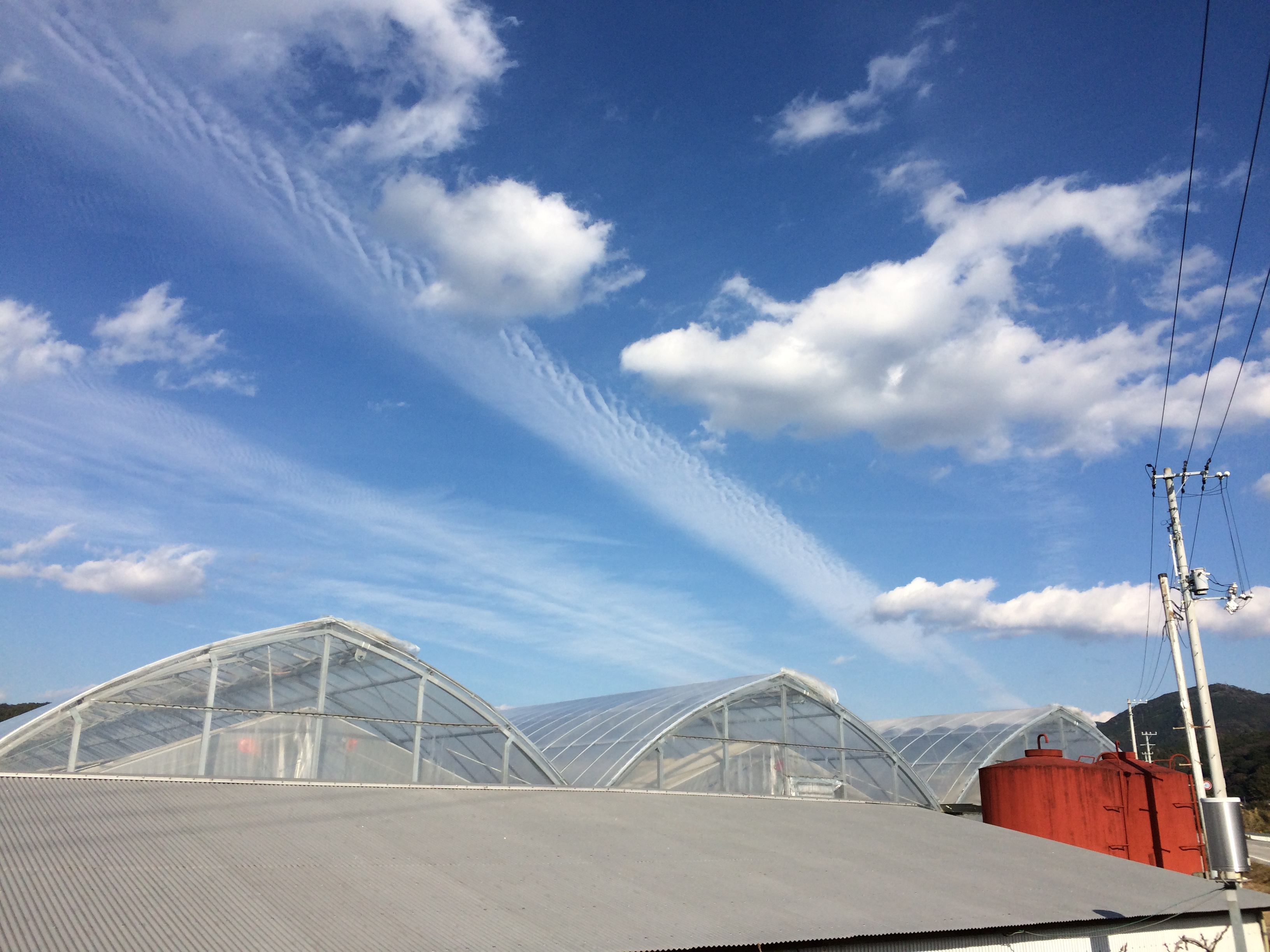 No.28240-1 地震雲