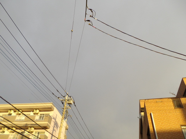 No.28338-1 地震雲