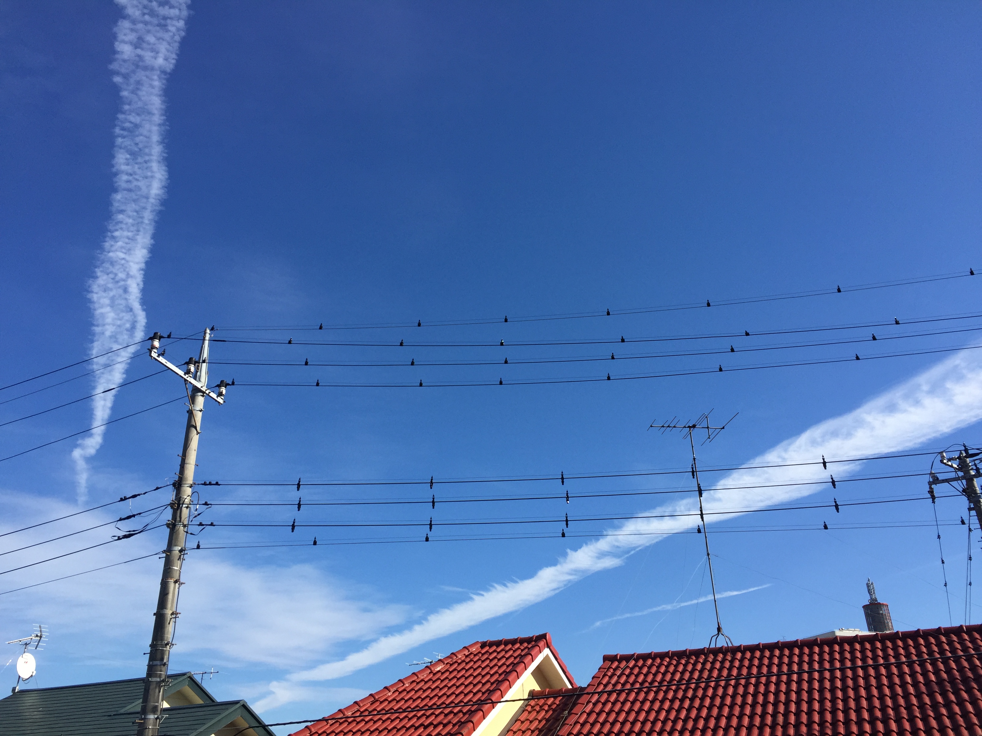 No.28398-1 地震雲