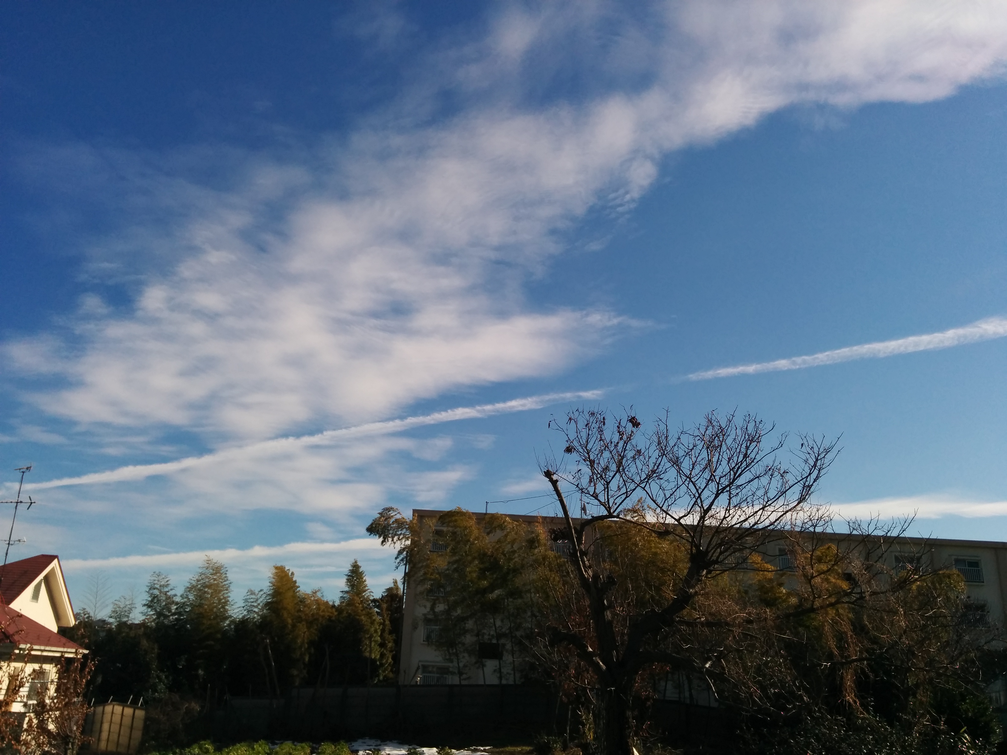 No.28399-1 地震雲