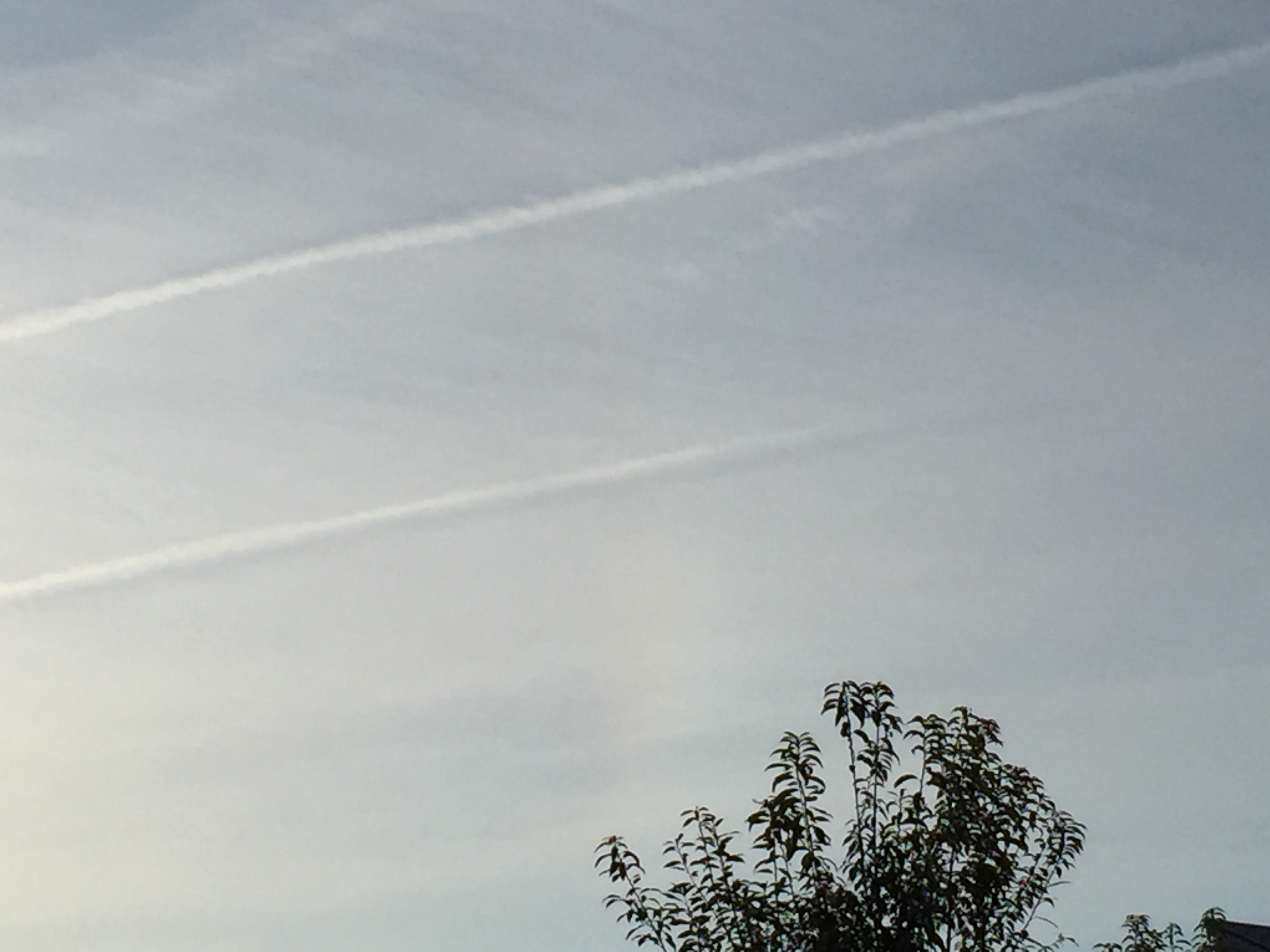 No.28540-1 地震雲