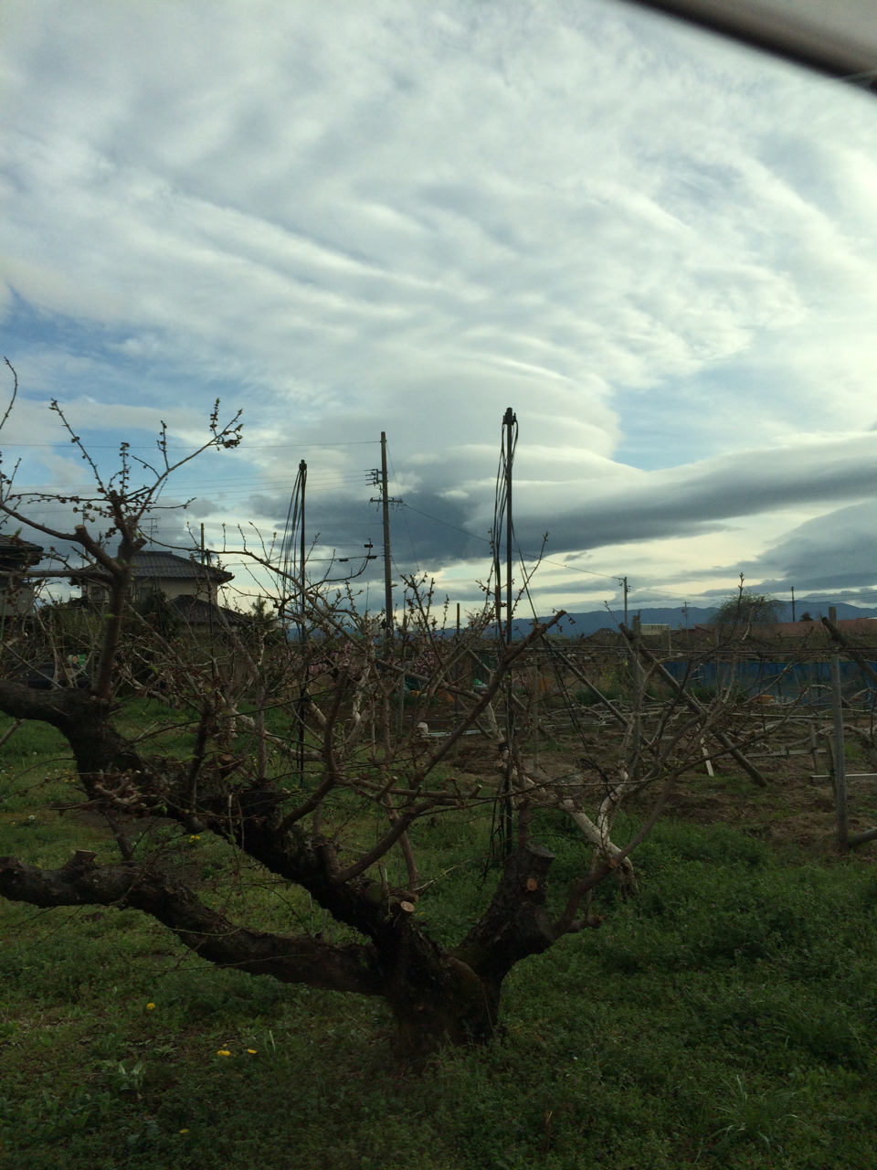 No.29097-1 地震雲